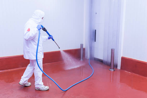 Best Post-Construction Pressure Washing  in Belmont, WI